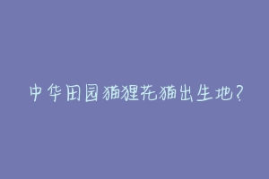 中华田园猫狸花猫出生地?
