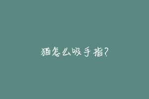 猫怎么吸手指?