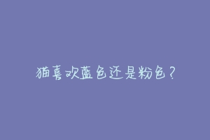猫喜欢蓝色还是粉色?