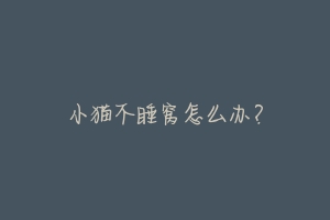 小猫不睡窝怎么办?