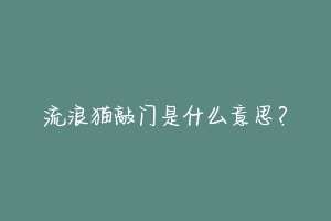 流浪猫敲门是什么意思?