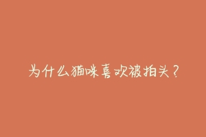 为什么猫咪喜欢被拍头?