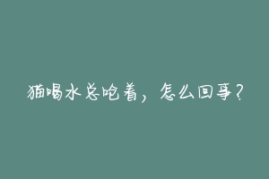 猫喝水总呛着,怎么回事?