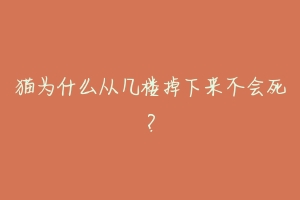 猫为什么从几楼掉下来不会死?