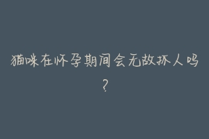 猫咪在怀孕期间会无故抓人吗?
