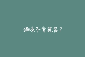 猫咪不肯进窝?