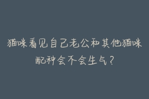 猫咪看见自己老公和其他猫咪配种会不会生气?