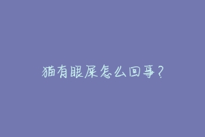 猫有眼屎怎么回事?