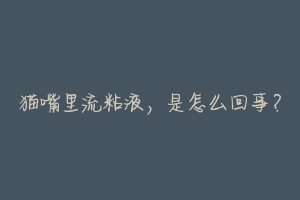 猫嘴里流粘液,是怎么回事?