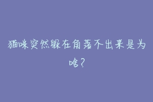 猫咪突然躲在角落不出来是为啥?