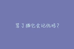 骂了猫它会记仇吗？