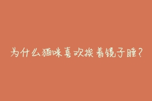 为什么猫咪喜欢挨着镜子睡?