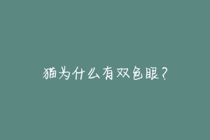猫为什么有双色眼?