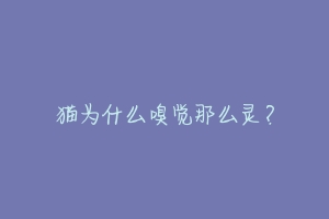 猫为什么嗅觉那么灵?