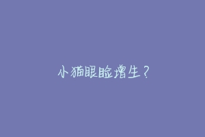 小猫眼睑增生?