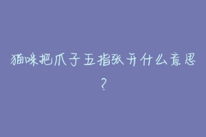 猫咪把爪子五指张开什么意思?