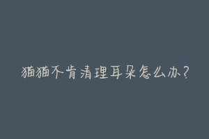 猫猫不肯清理耳朵怎么办?