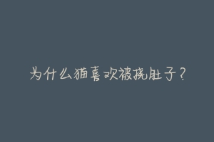 为什么猫喜欢被挠肚子?