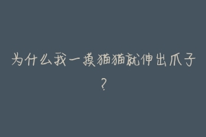 为什么我一摸猫猫就伸出爪子?