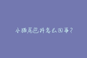 小猫尾巴抖怎么回事?