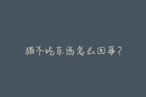 猫不吃东西怎么回事？