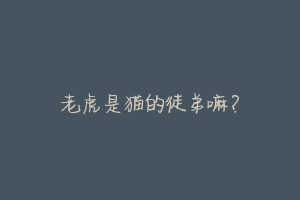 老虎是猫的徒弟嘛?