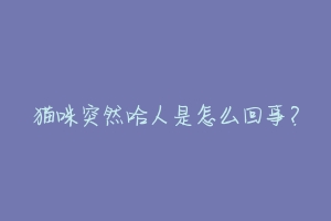 猫咪突然哈人是怎么回事？
