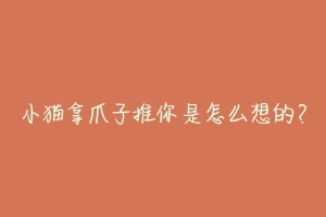 小猫拿爪子推你是怎么想的?