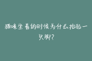 猫咪坐着的时候为什么抬起一只脚?