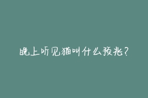晚上听见猫叫什么预兆?