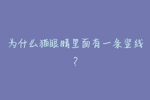 为什么猫眼睛里面有一条竖线?