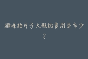 猫咪拍片子大概的费用是多少?