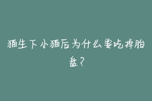 猫生下小猫后为什么要吃掉胎盘？