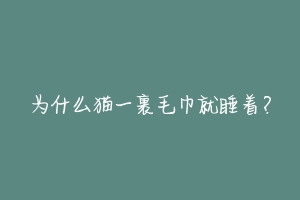 为什么猫一裹毛巾就睡着?