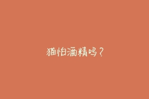 猫怕酒精吗?