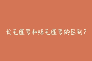 长毛暹罗和短毛暹罗的区别?