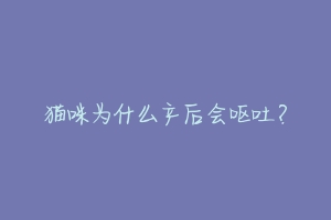 猫咪为什么产后会呕吐?