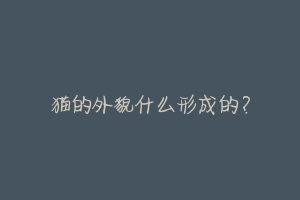 猫的外貌什么形成的?