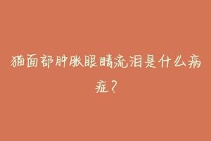 猫面部肿胀眼睛流泪是什么病症?