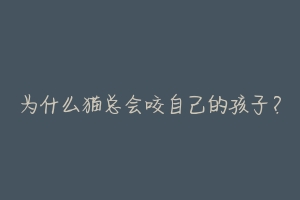 为什么猫总会咬自己的孩子?