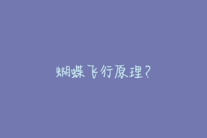 蝴蝶飞行原理?