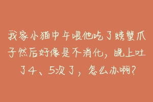 我家小猫中午喂他吃了螃蟹爪子然后好像是不消化，晚上吐了4、5次了，怎么办啊？