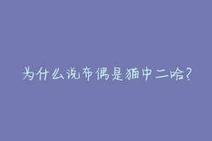 为什么说布偶是猫中二哈?