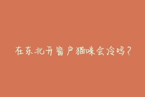 在东北开窗户猫咪会冷吗？