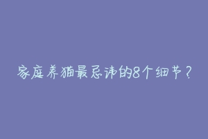 家庭养猫最忌讳的8个细节?