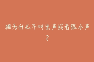 猫为什么不叫出声或者很小声？