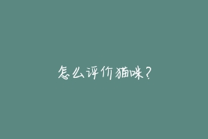 怎么评价猫咪?