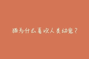 猫为什么喜欢人类幼崽?