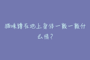猫咪蹲在地上身体一颤一颤什么情?