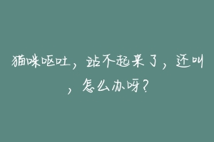 猫咪呕吐,站不起来了,还叫,怎么办呀?